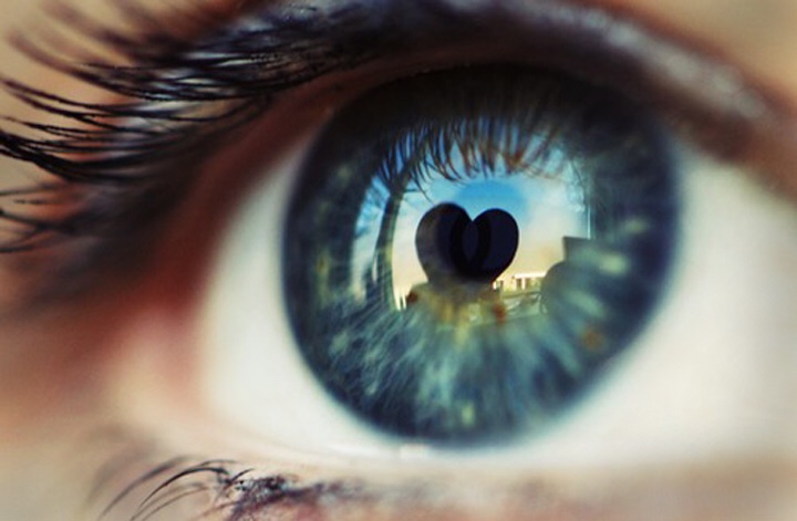 Do you see what I see?